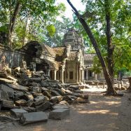 Curry-Competition | Tage 30 & 31: Die Tempel von Angkor | Nr. 190 Ta Prohm