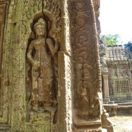 Curry-Competition | Tage 30 & 31: Die Tempel von Angkor | Nr. 191 Ta Prohm