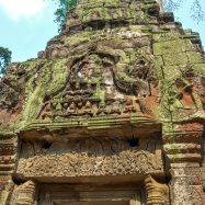 Curry-Competition | Tage 30 & 31: Die Tempel von Angkor | Nr. 196 Ta Prohm
