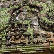 Curry-Competition | Tage 30 & 31: Die Tempel von Angkor | Nr. 197 Ta Prohm