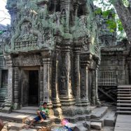 Curry-Competition | Tage 30 & 31: Die Tempel von Angkor | Nr. 199 Ta Prohm