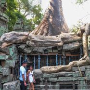 Curry-Competition | Tage 30 & 31: Die Tempel von Angkor | Nr. 202 Ta Prohm