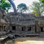 Curry-Competition | Tage 30 & 31: Die Tempel von Angkor | Nr. 207 Ta Prohm