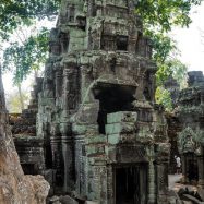 Curry-Competition | Tage 30 & 31: Die Tempel von Angkor | Nr. 208 Ta Prohm