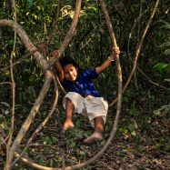 Curry-Competition | Tage 30 & 31: Die Tempel von Angkor | Nr. 211 2010 03 25 15.23.59