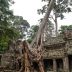 Curry-Competition | Tage 30 & 31: Die Tempel von Angkor | Nr. 239 Preah Khan