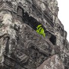 Curry-Competition | Tag 32: Borramy und die Kinder von Angkor | Nr. 70 Banteay Kdei