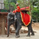 Curry-Competition | Tag 32: Borramy und die Kinder von Angkor | Nr. 89 2010 03 27 16.34.29