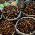 Eiweißreiche Nahrung auf dem Central Market