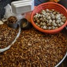 Eiweißreiche Nahrung auf dem Central Market