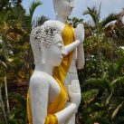 Wat Yai Chai Mongkon