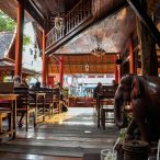 Curry-Competition | Tag 38: Busfahrt nach Ayutthaya | Nr. 28 Tony’s Place