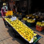 Curry-Competition | Tag 40: »The laaaaaady rentssss the roooooom to youuuu.« | Nr. 5 2010 04 08 10.23.45