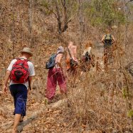 Curry-Competition | Tag 46: Doi Suthep und das belgische Koma | Nr. 8 2010 04 10 10.59.04 1