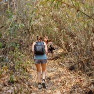 Curry-Competition | Tag 46: Doi Suthep und das belgische Koma | Nr. 9 2010 04 10 11.17.15