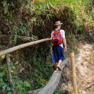 Curry-Competition | Tag 46: Doi Suthep und das belgische Koma | Nr. 10 2010 04 10 11.21.37