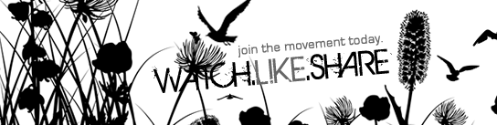 OneCloudFest OneCloudFest 3