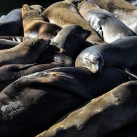 Serendipity – Teil 1 | Tag 3: The Bushman | Nr. 4 2012 11 12 12.34.02 edited