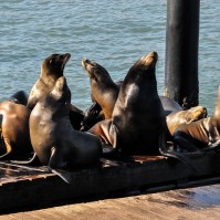 Serendipity – Teil 1 | Tag 3: The Bushman | Nr. 3 2012 11 12 12.35.16 edited