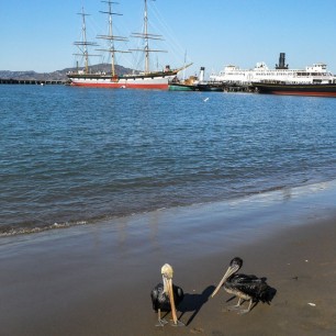 Serendipity – Teil 1 | Tag 3: The Bushman | Nr. 6 2012 11 12 13.36.06 edited