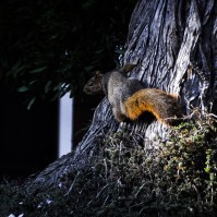 Serendipity – Teil 1 | Tag 5: Monarch Film Festival: Tag 1 – Mein Whirlpool vs. Joe und Kiki | Nr. 3 2012 11 14 14.58.39 edited