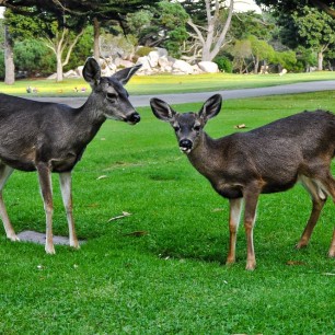 Serendipity – Teil 1 | Tag 6: Monarch Film Festival: Tag 2 – And the Winner Is ... | Nr. 2 2012 11 15 14.47.03 edited