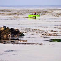 Serendipity – Teil 1 | Tag 6: Monarch Film Festival: Tag 2 – And the Winner Is ... | Nr. 6 2012 11 15 15.17.51 edited