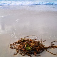 2012 11 16 14.21.34 edited