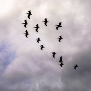 2012 11 16 14.38.08 edited