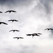 2012 11 16 14.38.15 edited