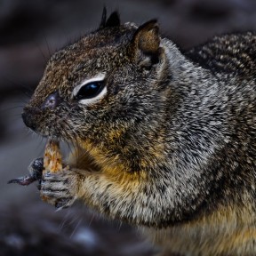 2012 11 16 14.46.26 edited