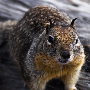 2012 11 16 14.47.20 edited