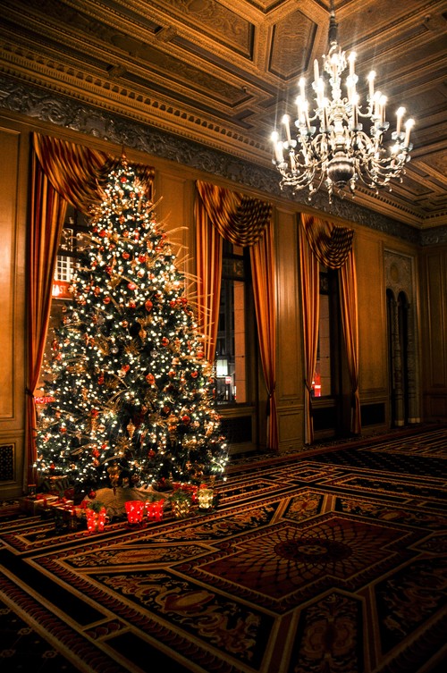 2012 11 22 20.39.34 edited