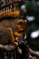 Serendipity – Teil 1 | Tag 28: Cari | Nr. 2 2012 12 07 12.44.57