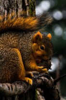 Serendipity – Teil 1 | Tag 28: Cari | Nr. 3 2012 12 07 12.45.07