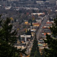 Rund um den Hawthorne Boulevard scheint ein Großteil der Stadt, die knapp 590.000 Einwohner zählt, im Wald zu verschwinden ...