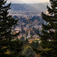 Portland ... wo bist Du?