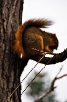 Serendipity – Teil 1 | Tag 28: Cari | Nr. 4 Portland2012 12 07 12.47.02 edited