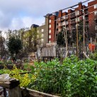 Eine grüne Oase inmitten der Stadt