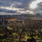 Aussicht auf Seattles Süden und die Stadien