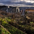 Danny Woo International District Community Garden