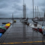 Der Blick vom Steg des Center for Wooden Boats auf den Union Lake