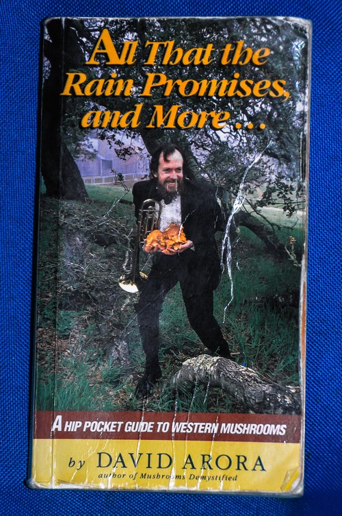 Serendipity – Teil 1 | Tag 45: Im Reich der 1000 Jahre alten Giganten | Nr. 2 2012 12 24 09.56.56