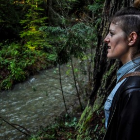 Serendipity – Teil 1 | Tag 45: Im Reich der 1000 Jahre alten Giganten | Nr. 50 2012 12 24 13.16.12