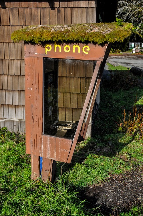 Serendipity – Teil 1 | Tag 45: Im Reich der 1000 Jahre alten Giganten | Nr. 30 2012 12 24 13.56.19