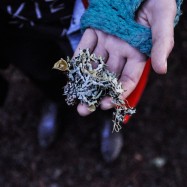 Serendipity – Teil 1 | Tag 45: Im Reich der 1000 Jahre alten Giganten | Nr. 55 2012-12-24 14.07.06