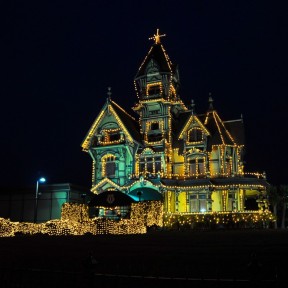 Serendipity – Teil 1 | Tag 45: Im Reich der 1000 Jahre alten Giganten | Nr. 72 2012 12 24 17.33.39