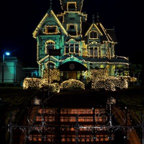 Serendipity – Teil 1 | Tag 45: Im Reich der 1000 Jahre alten Giganten | Nr. 73 2012 12 24 17.34.51