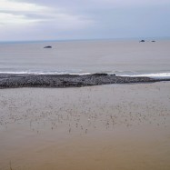 Serendipity – Teil 1 | Tag 46: They Call Him Tyrone | Nr. 11 2012 12 25 10.50.33