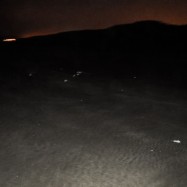 Die weißen Flecken sind fliegender Algenschaum.